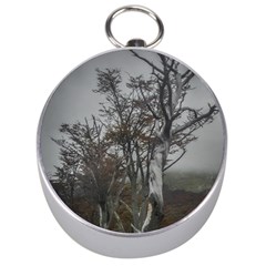 Nature s Resilience: Tierra Del Fuego Forest, Argentina Silver Compasses by dflcprintsclothing