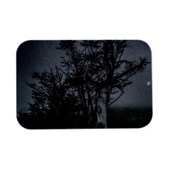 Nature s Resilience: Tierra Del Fuego Forest, Argentina Open Lid Metal Box (silver)   by dflcprintsclothing