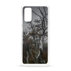 Nature s Resilience: Tierra Del Fuego Forest, Argentina Samsung Galaxy S20 6 2 Inch Tpu Uv Case by dflcprintsclothing