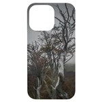 Nature s Resilience: Tierra del Fuego Forest, Argentina iPhone 14 Pro Max Black UV Print Case Front