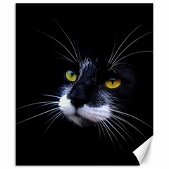 Face Black Cat Canvas 20  X 24  by Ket1n9