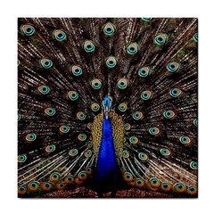 Peacock Tile Coaster by Ket1n9