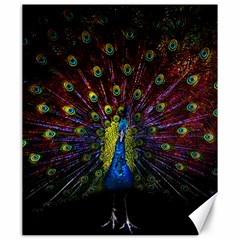 Beautiful Peacock Feather Canvas 20  X 24  by Ket1n9