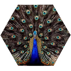 Peacock Wooden Puzzle Hexagon by Ket1n9