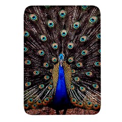 Peacock Rectangular Glass Fridge Magnet (4 Pack) by Ket1n9