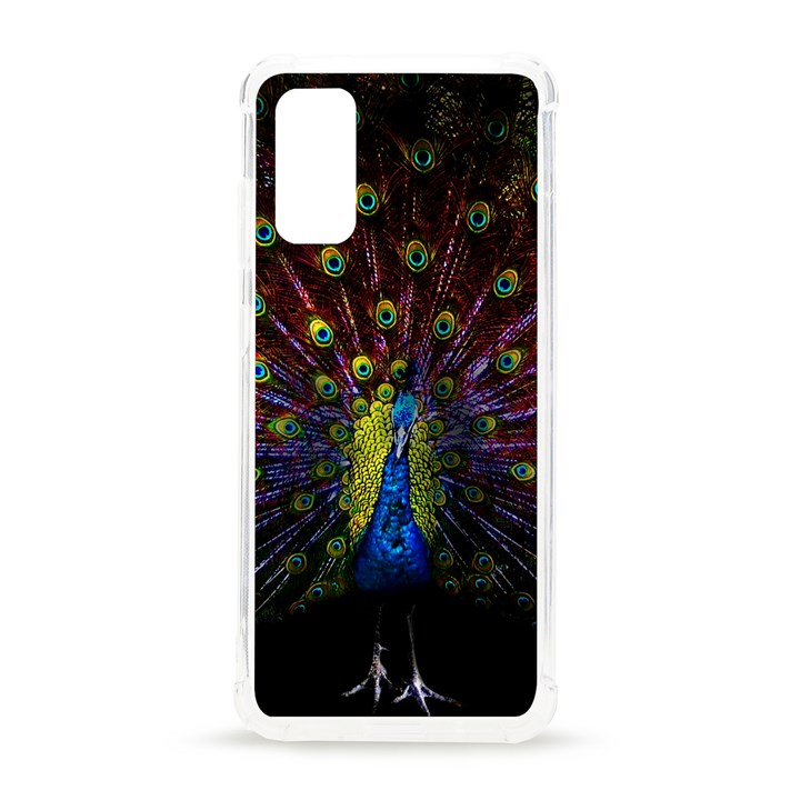 Beautiful Peacock Feather Samsung Galaxy S20 6.2 Inch TPU UV Case