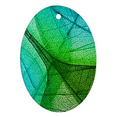 Sunlight Filtering Through Transparent Leaves Green Blue Ornament (oval) by Ket1n9