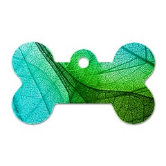 Sunlight Filtering Through Transparent Leaves Green Blue Dog Tag Bone (two Sides) by Ket1n9