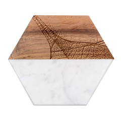 Sunlight Filtering Through Transparent Leaves Green Blue Marble Wood Coaster (hexagon) 