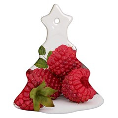 Fruit-healthy-vitamin-vegan Christmas Tree Ornament (two Sides) by Ket1n9