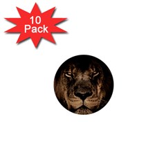 African-lion-mane-close-eyes 1  Mini Magnet (10 Pack)  by Ket1n9