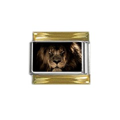 African-lion-mane-close-eyes Gold Trim Italian Charm (9mm) by Ket1n9