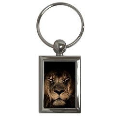 African-lion-mane-close-eyes Key Chain (rectangle) by Ket1n9