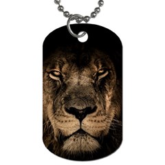 African-lion-mane-close-eyes Dog Tag (two Sides) by Ket1n9