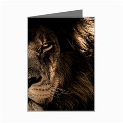 African-lion-mane-close-eyes Mini Greeting Card by Ket1n9
