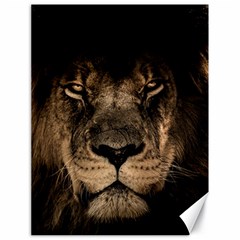 African-lion-mane-close-eyes Canvas 18  X 24  by Ket1n9