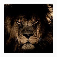 African-lion-mane-close-eyes Medium Glasses Cloth by Ket1n9