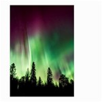 Aurora-borealis-northern-lights Large Garden Flag (Two Sides) Back