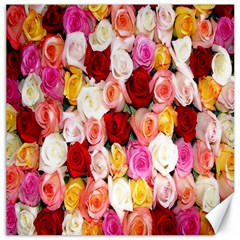 Rose Color Beautiful Flowers Canvas 20  X 20  by Ket1n9