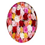 Rose Color Beautiful Flowers Oval Glass Fridge Magnet (4 pack) Front