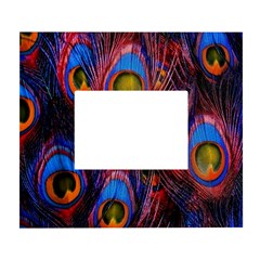 Pretty Peacock Feather White Wall Photo Frame 5  X 7  by Ket1n9
