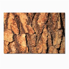 Bark Texture Wood Large Rough Red Wood Outside California Postcards 5  X 7  (pkg Of 10) by Ket1n9