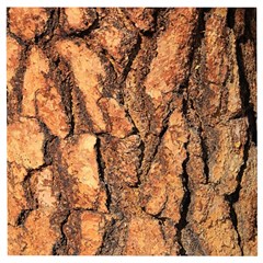 Bark Texture Wood Large Rough Red Wood Outside California Wooden Puzzle Square