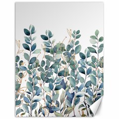 Green And Gold Eucalyptus Leaf Canvas 12  X 16  by Jack14