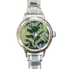 Botanical Tropical Motif Photo Art Round Italian Charm Watch by dflcprintsclothing