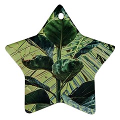 Botanical Tropical Motif Photo Art Star Ornament (two Sides) by dflcprintsclothing