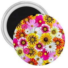 Flowers Blossom Bloom Nature Plant 3  Magnets by Amaryn4rt