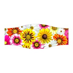 Flowers Blossom Bloom Nature Plant Stretchable Headband by Amaryn4rt