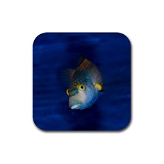 Fish Blue Animal Water Nature Rubber Coaster (square) by Amaryn4rt