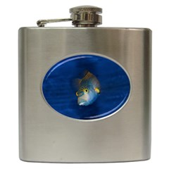 Fish Blue Animal Water Nature Hip Flask (6 Oz) by Amaryn4rt