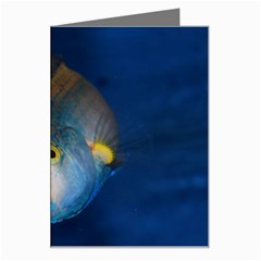 Fish Blue Animal Water Nature Greeting Card by Amaryn4rt
