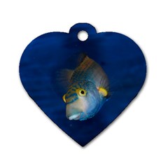 Fish Blue Animal Water Nature Dog Tag Heart (one Side) by Amaryn4rt