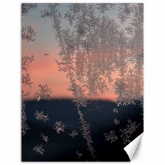 Hardest-frost-winter-cold-frozen Canvas 12  X 16  by Amaryn4rt