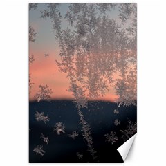 Hardest-frost-winter-cold-frozen Canvas 20  X 30  by Amaryn4rt