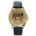 Cute Persian Catface In Closeup Round Gold Metal Watch Front