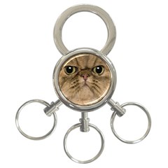 Cute Persian Catface In Closeup 3-ring Key Chain by Amaryn4rt