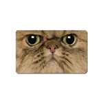 Cute Persian Catface In Closeup Magnet (Name Card) Front