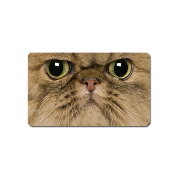 Cute Persian Catface In Closeup Magnet (Name Card)