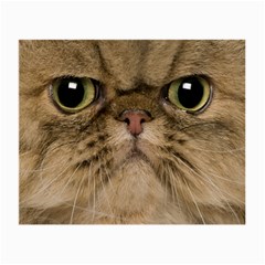 Cute Persian Catface In Closeup Small Glasses Cloth by Amaryn4rt