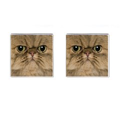 Cute Persian Catface In Closeup Cufflinks (square) by Amaryn4rt