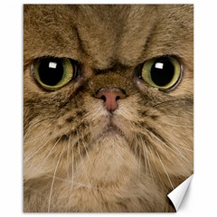 Cute Persian Catface In Closeup Canvas 16  X 20  by Amaryn4rt