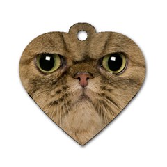 Cute Persian Catface In Closeup Dog Tag Heart (two Sides) by Amaryn4rt