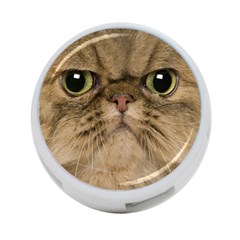 Cute Persian Catface In Closeup 4-port Usb Hub (one Side) by Amaryn4rt