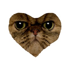 Cute Persian Catface In Closeup Standard 16  Premium Heart Shape Cushions by Amaryn4rt