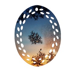 Hardest-frost-winter-cold-frozen Oval Filigree Ornament (two Sides) by Amaryn4rt