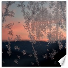 Hardest-frost-winter-cold-frozen Canvas 16  X 16  by Amaryn4rt